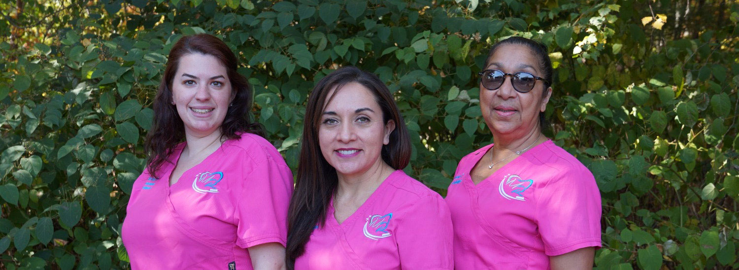 Our Dental Team ster Dental Office Grafton MA Dentists